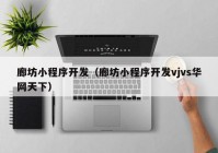 廊坊小程序开发（廊坊小程序开发vjvs华网天下）