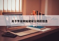 关于专业网站建设公司的信息