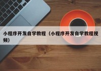 小程序开发自学教程（小程序开发自学教程视频）