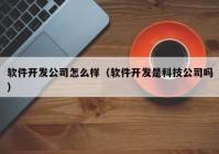 软件开发公司怎么样（软件开发是科技公司吗）