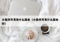 小程序开发有什么版本（小程序开发什么版本好）