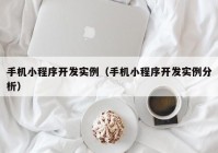 手机小程序开发实例（手机小程序开发实例分析）