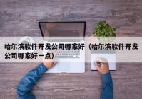 哈尔滨软件开发公司哪家好（哈尔滨软件开发公司哪家好一点）