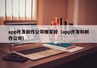 app开发制作公司哪家好（app开发和制作公司）