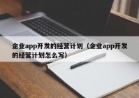 企业app开发的经营计划（企业app开发的经营计划怎么写）