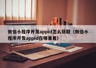 微信小程序开发appid怎么获取（微信小程序开发appid在哪里看）